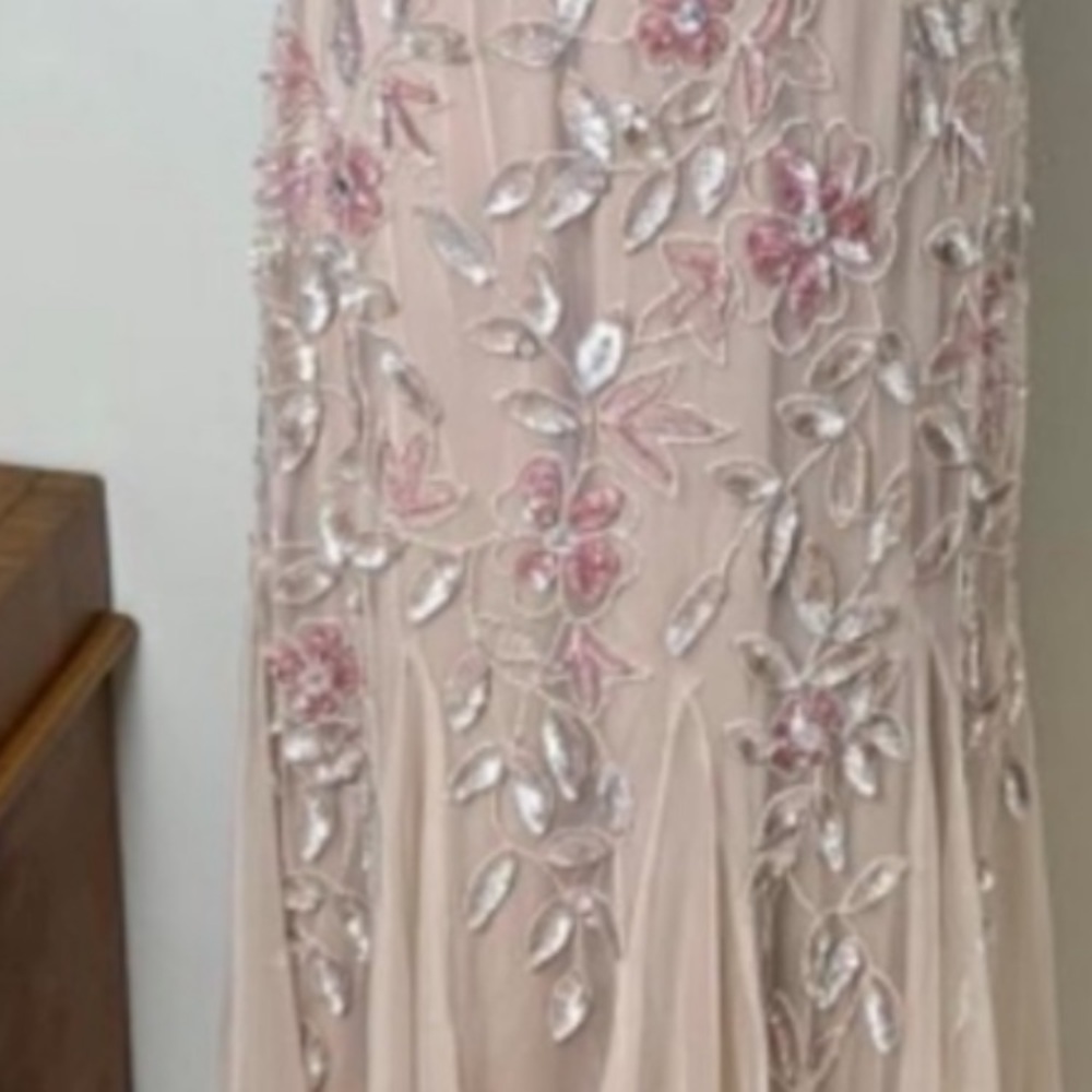 Adrianna Papell Sz 10, floor length, short sleeve, rose gown with sequins, beads - Picture 10 of 12